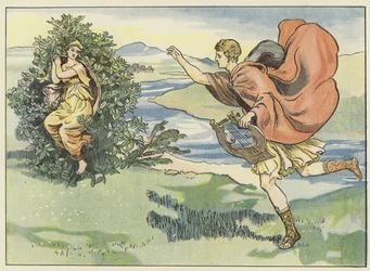 Der Lorbeer